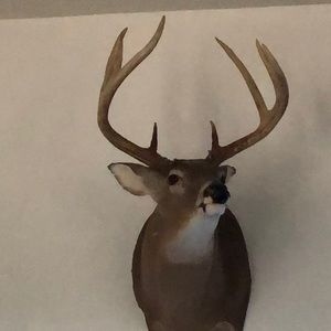 Meet your Posher, Andy